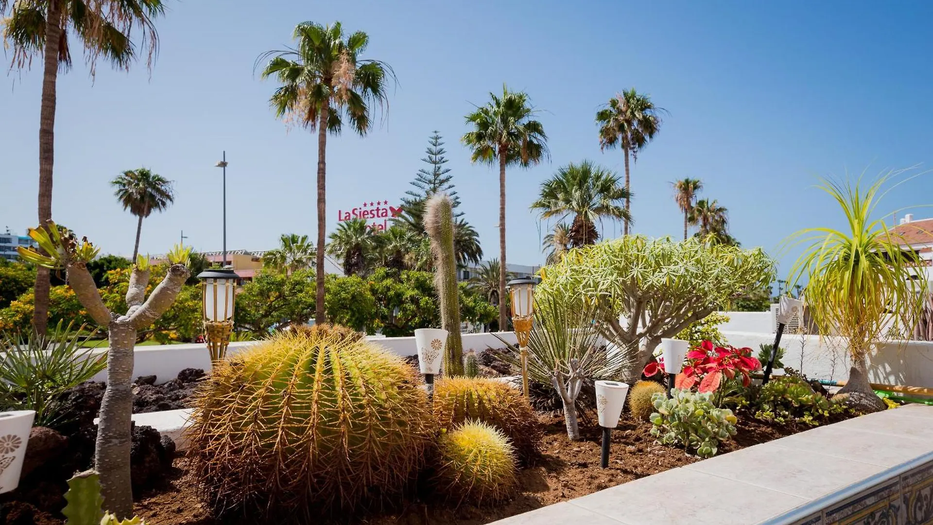 Go2Tenerife Apart'Ada Santiago 2 Playa de las Americas  Spain
